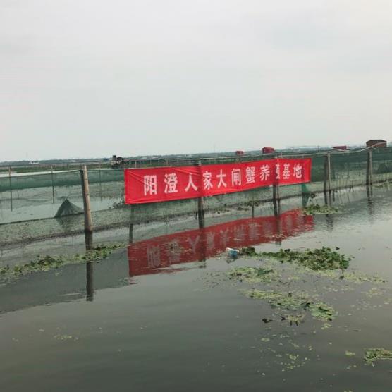 养蟹围网，一般每家10亩左右
