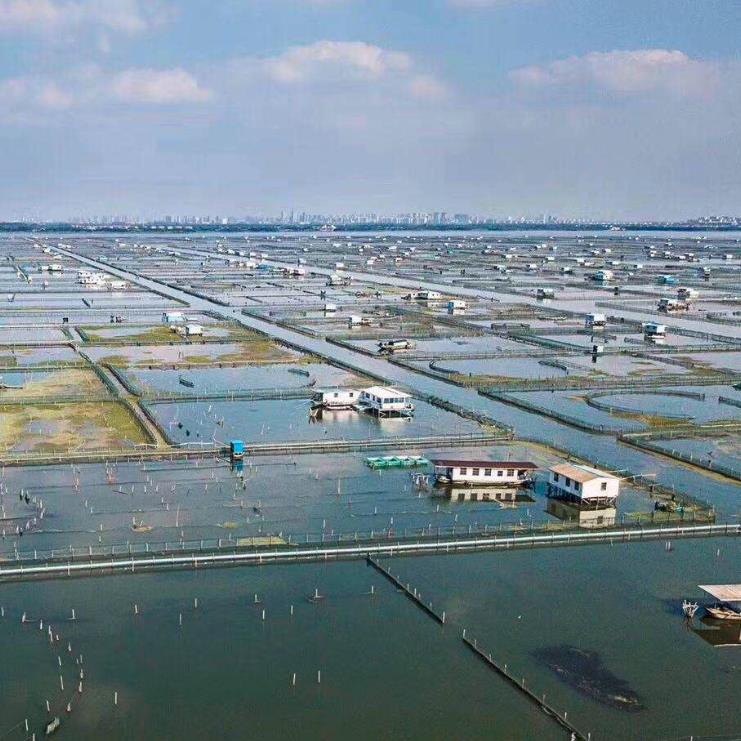 养殖基地航拍