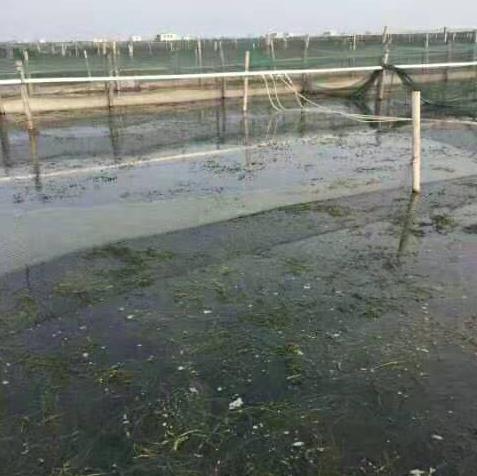 增氧气管